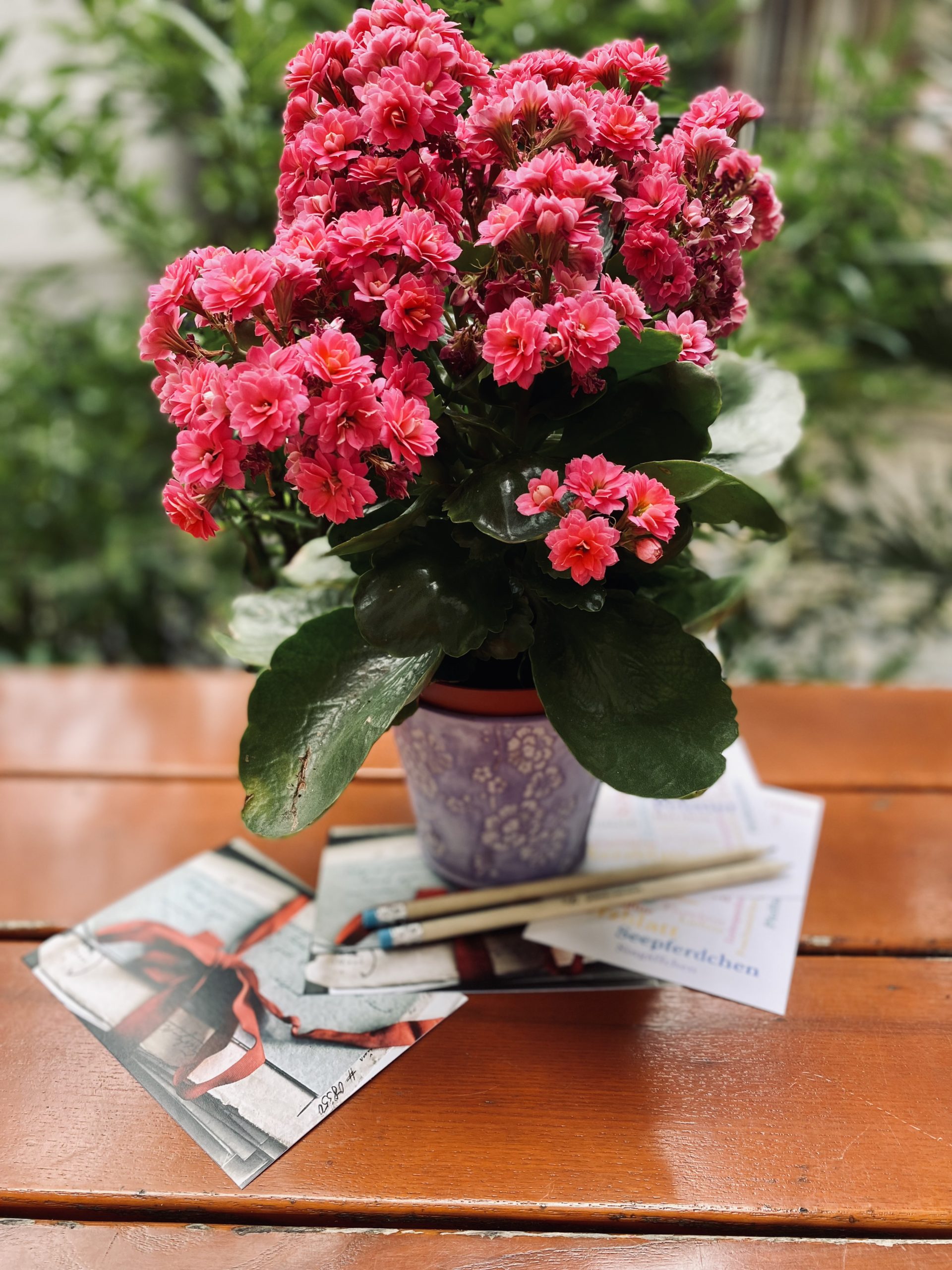 Ein Blumentopf draußen auf einem Tisch mit Postkarten und Bleistiften des Liebesbriefarchivs